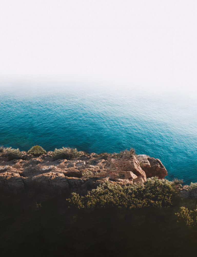 Le projet - The Wellness Collection