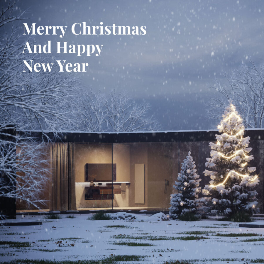 Buon Natale e felice anno nuovo - Disenia